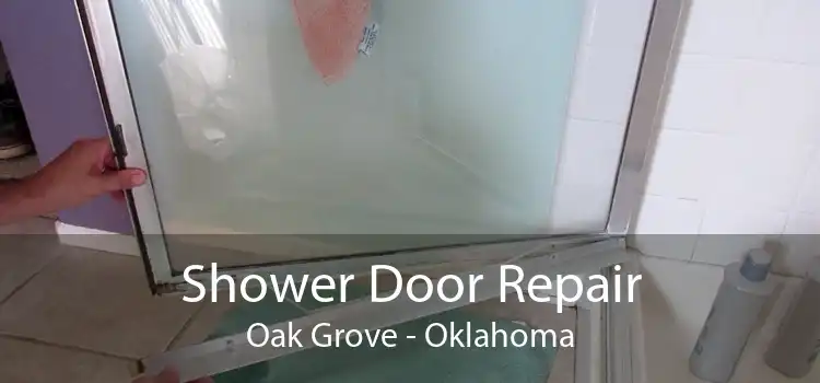 Shower Door Repair Oak Grove - Oklahoma