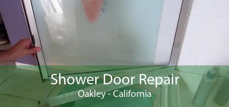 Shower Door Repair Oakley - California