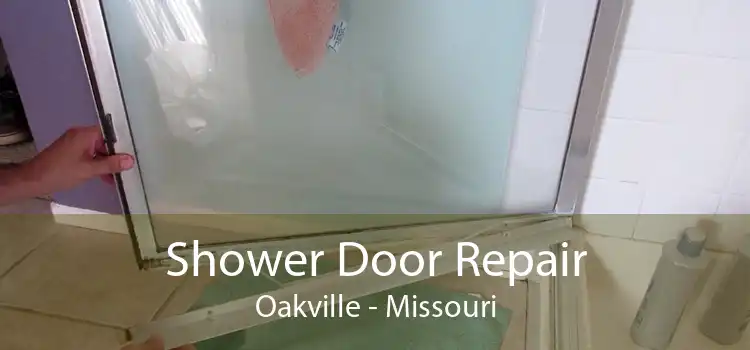 Shower Door Repair Oakville - Missouri