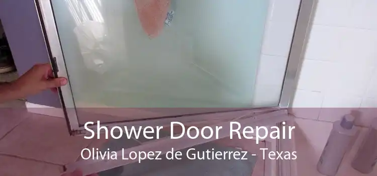 Shower Door Repair Olivia Lopez de Gutierrez - Texas