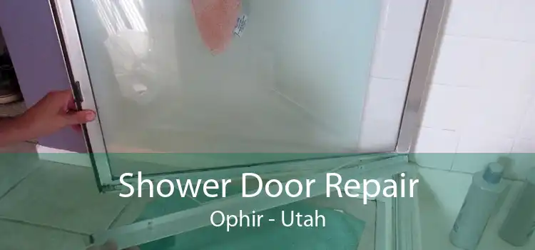Shower Door Repair Ophir - Utah