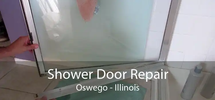 Shower Door Repair Oswego - Illinois