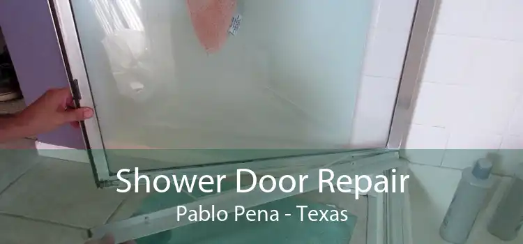 Shower Door Repair Pablo Pena - Texas
