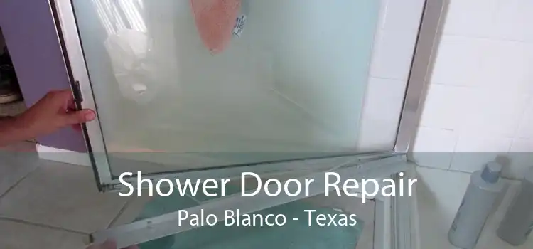 Shower Door Repair Palo Blanco - Texas