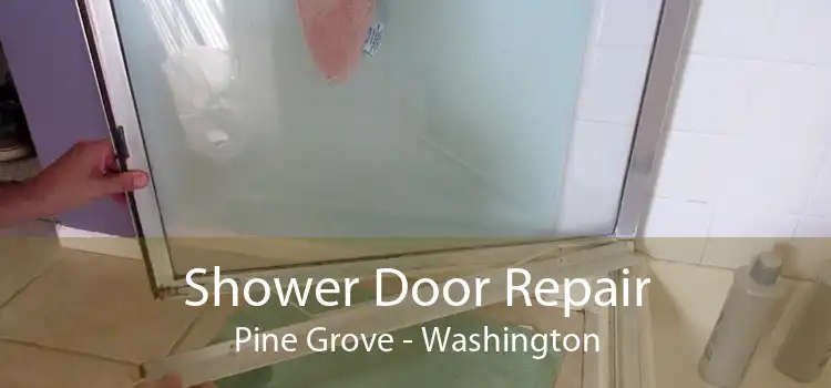 Shower Door Repair Pine Grove - Washington