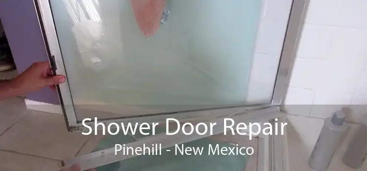 Shower Door Repair Pinehill - New Mexico