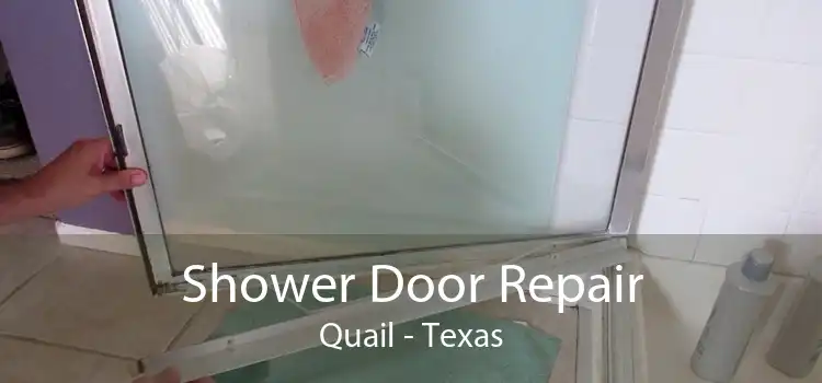 Shower Door Repair Quail - Texas