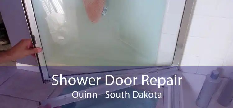 Shower Door Repair Quinn - South Dakota