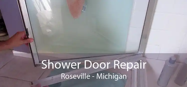 Shower Door Repair Roseville - Michigan