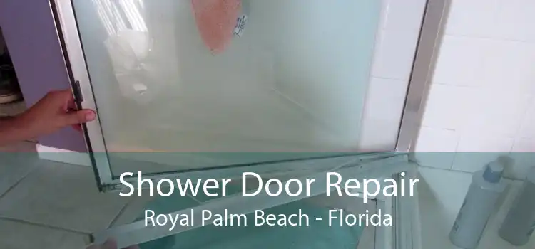 Shower Door Repair Royal Palm Beach - Florida