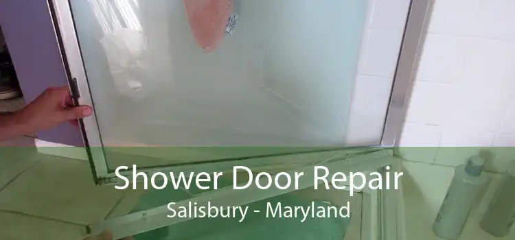 Shower Door Repair Salisbury - Maryland
