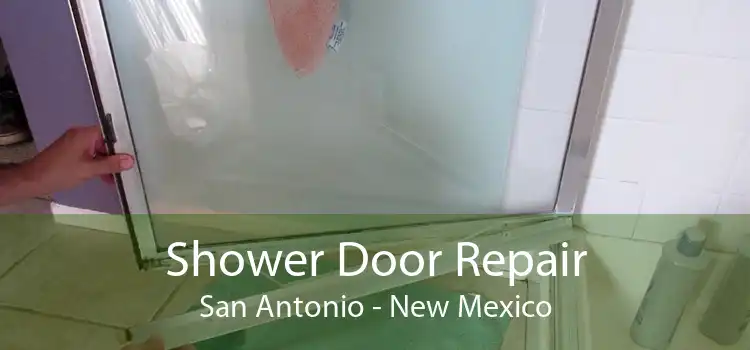 Shower Door Repair San Antonio - New Mexico