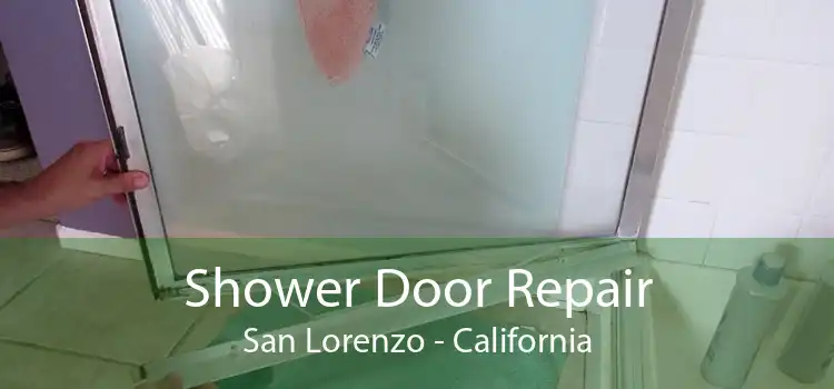 Shower Door Repair San Lorenzo - California