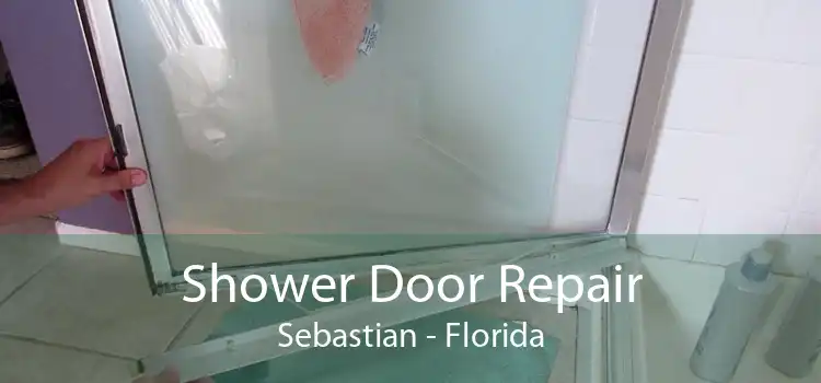 Shower Door Repair Sebastian - Florida