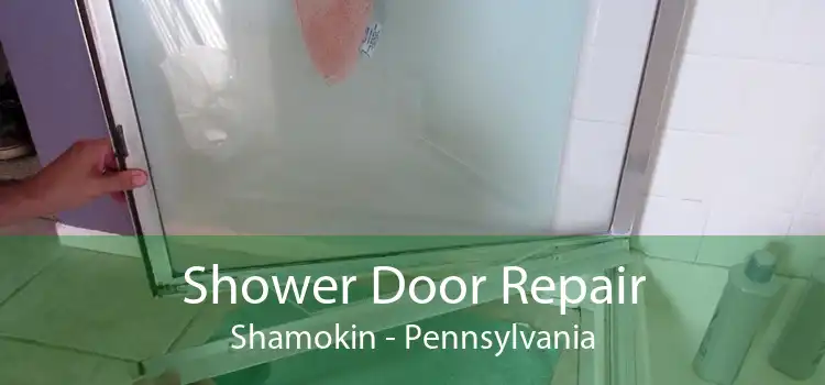 Shower Door Repair Shamokin - Pennsylvania