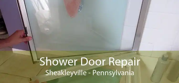Shower Door Repair Sheakleyville - Pennsylvania