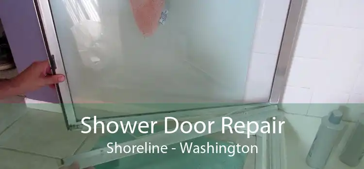 Shower Door Repair Shoreline - Washington