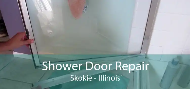 Shower Door Repair Skokie - Illinois