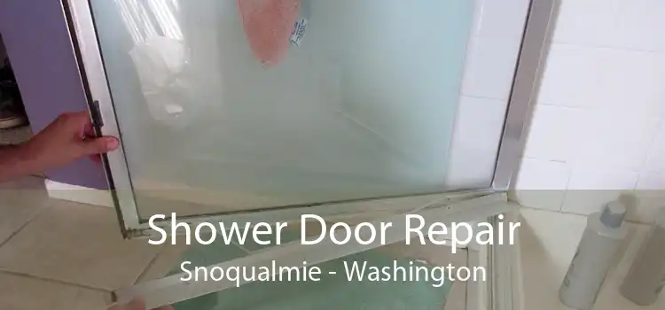 Shower Door Repair Snoqualmie - Washington