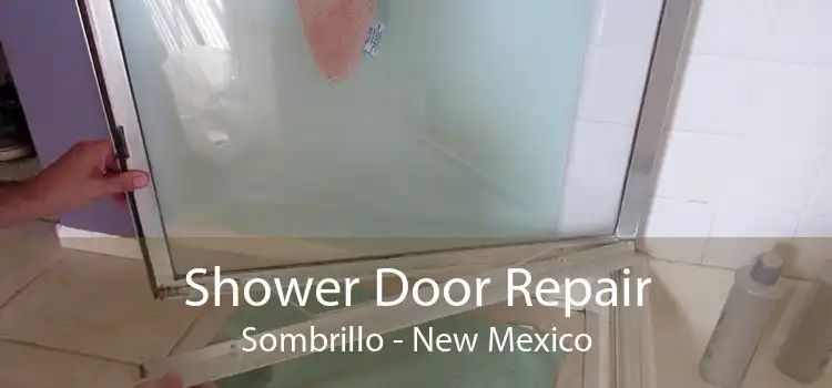 Shower Door Repair Sombrillo - New Mexico