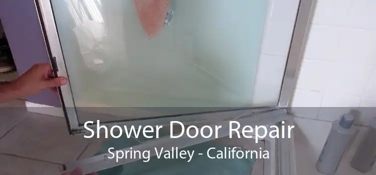 Shower Door Repair Spring Valley - California