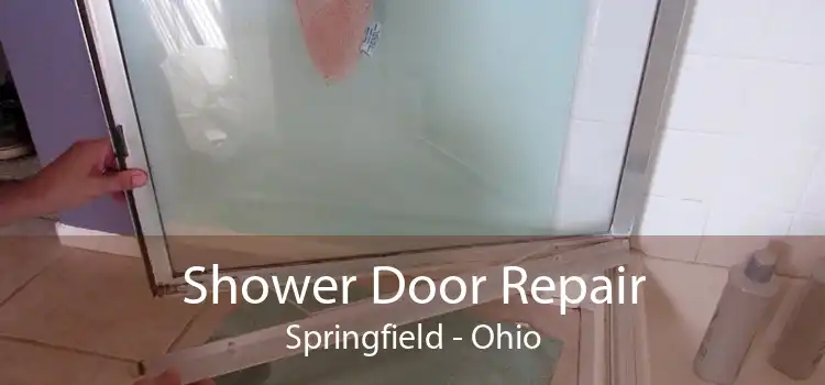 Shower Door Repair Springfield - Ohio