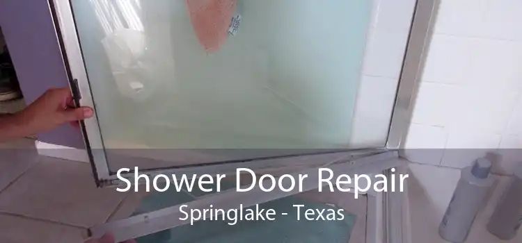 Shower Door Repair Springlake - Texas
