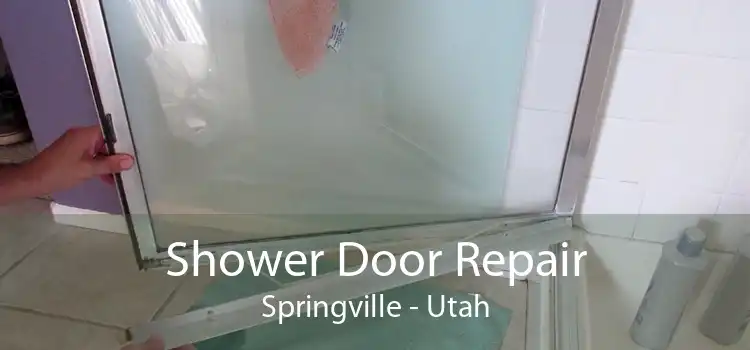 Shower Door Repair Springville - Utah