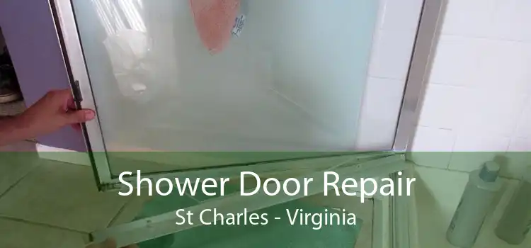 Shower Door Repair St Charles - Virginia