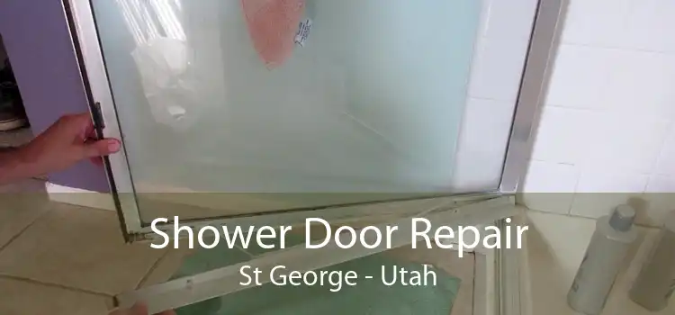 Shower Door Repair St George - Utah