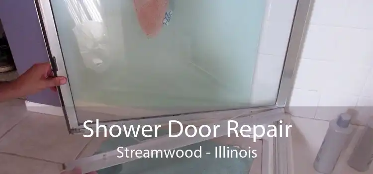 Shower Door Repair Streamwood - Illinois