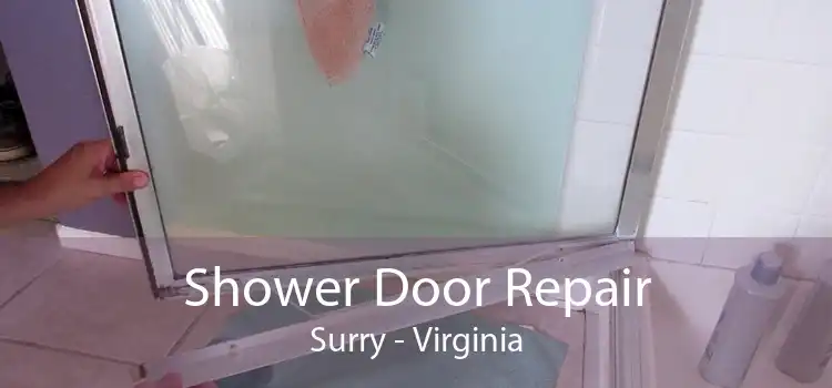 Shower Door Repair Surry - Virginia