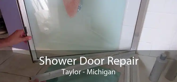 Shower Door Repair Taylor - Michigan