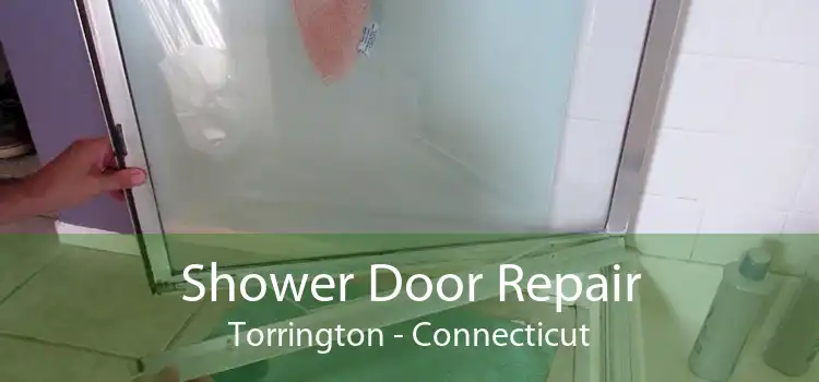 Shower Door Repair Torrington - Connecticut