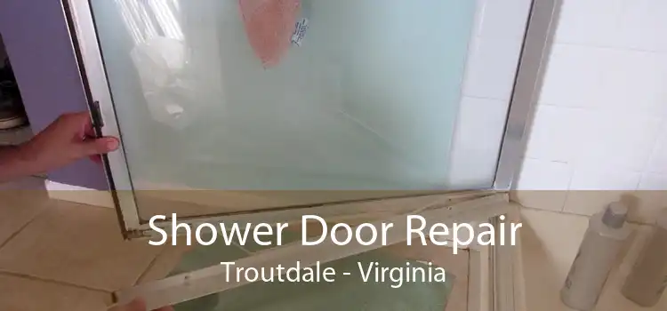 Shower Door Repair Troutdale - Virginia