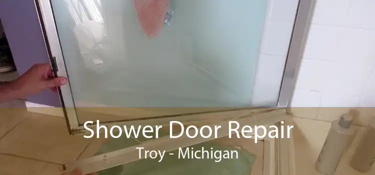 Shower Door Repair Troy - Michigan