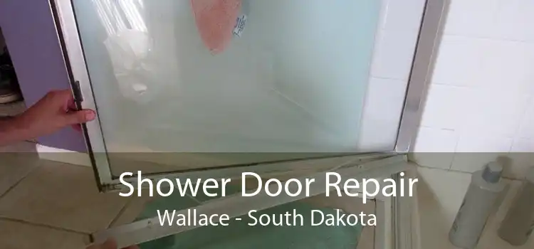 Shower Door Repair Wallace - South Dakota