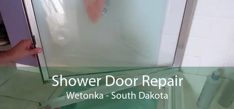 Shower Door Repair Wetonka - South Dakota