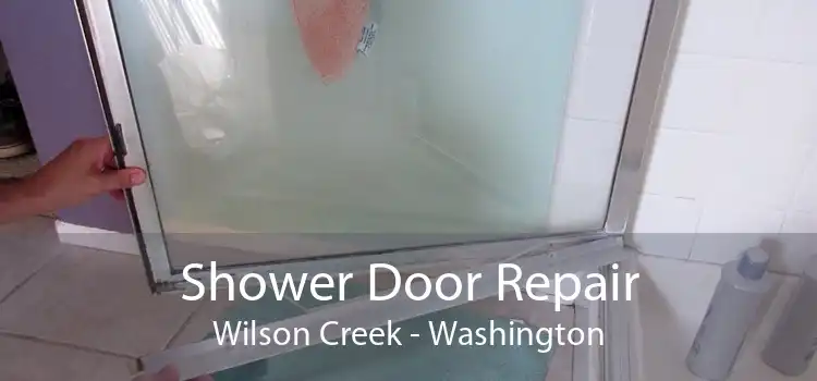 Shower Door Repair Wilson Creek - Washington