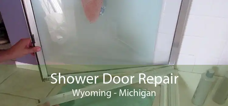 Shower Door Repair Wyoming - Michigan