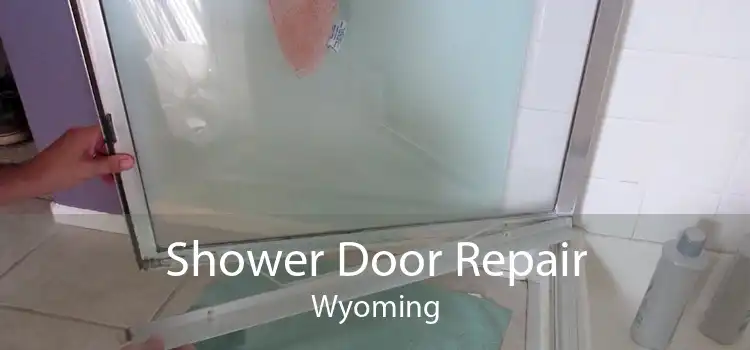 Shower Door Repair Wyoming