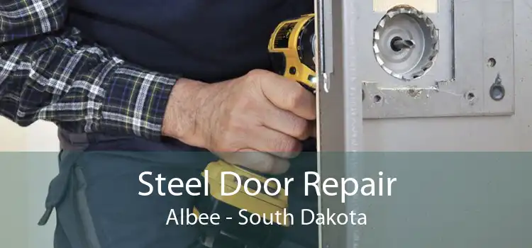Steel Door Repair Albee - South Dakota