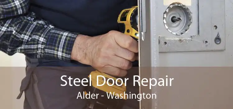Steel Door Repair Alder - Washington