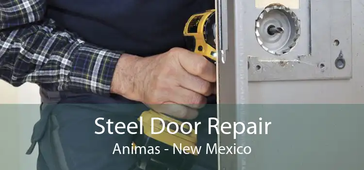 Steel Door Repair Animas - New Mexico