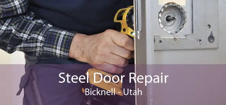 Steel Door Repair Bicknell - Utah