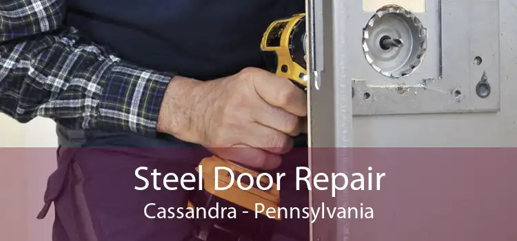 Steel Door Repair Cassandra - Pennsylvania