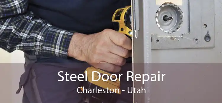Steel Door Repair Charleston - Utah