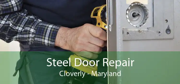 Steel Door Repair Cloverly - Maryland