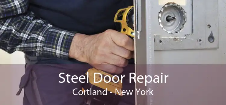 Steel Door Repair Cortland - New York