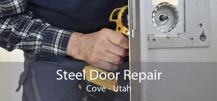 Steel Door Repair Cove - Utah